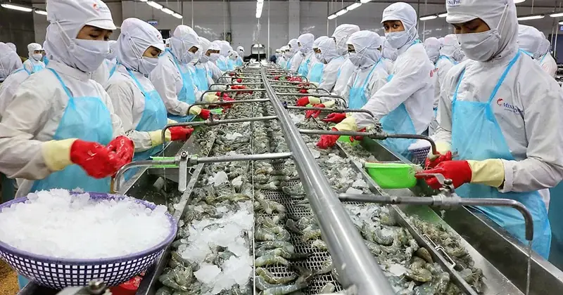 Nhà máy chế biến và cấp đông thủy sản