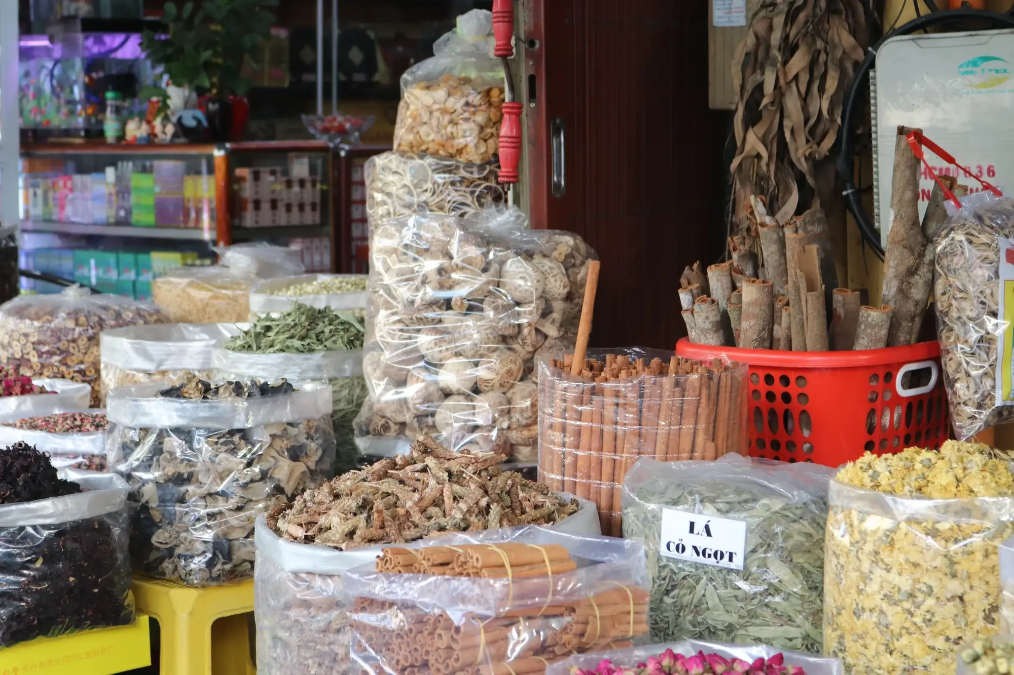 Nhà thuốc bắc trưng bày dược liệu và sản phẩm chăm sóc sức khỏe