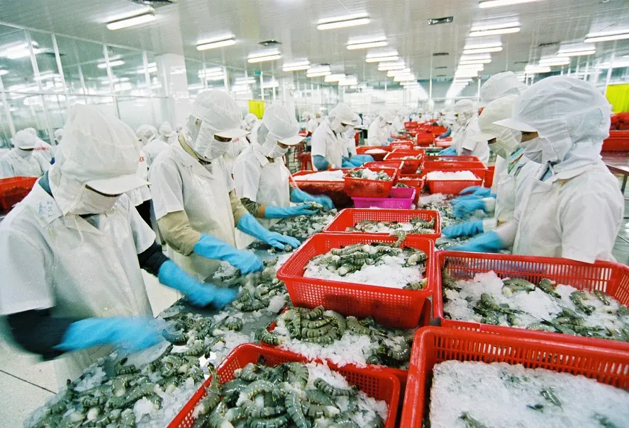 Xưởng chế biến thực phẩm với dây chuyền sản xuất